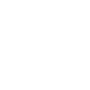 DAGJE_DEN_BOSCH_w