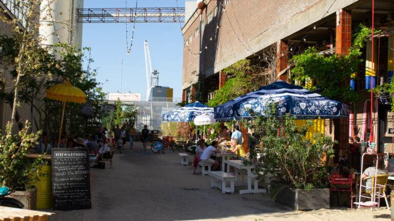 Dagje Den Bosch 0374 1024x576 1 768x432