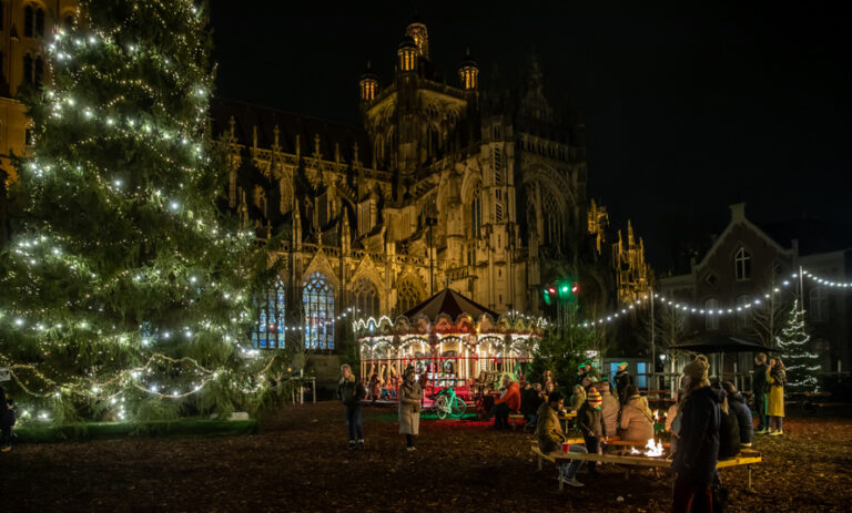 Bosch Winter Paradijs 2 bossche winter 768x463